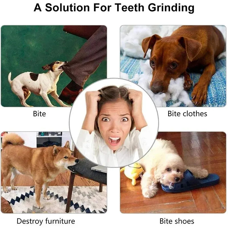 Moos & Marley TreatTumble™ – Interactive Dental-Care Treat Ball