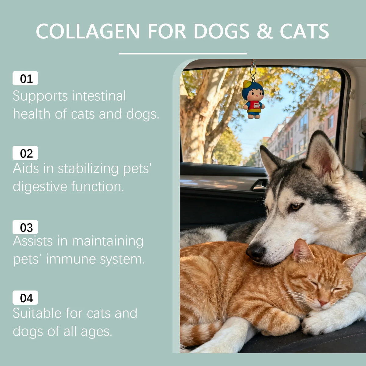 Moos & Marley™ Joint Support Drops for Dogs & Cats