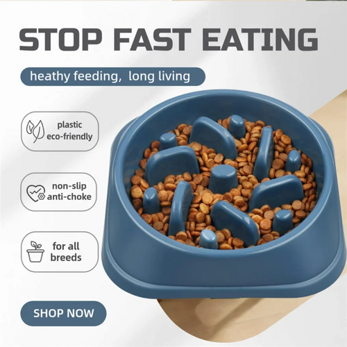 Moos & Marley PaceBowl™ – Slow Feeder Dog Bowl